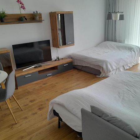 Coresi, 2 Camere, Sleeps 6 Large Private Garden Apartment Pets Welcome Braşov Dış mekan fotoğraf