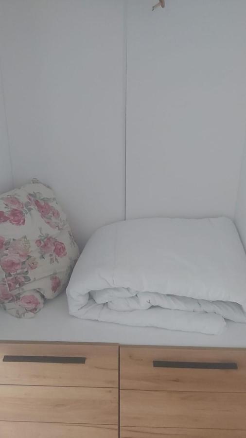 Coresi, 2 Camere, Sleeps 6 Large Private Garden Apartment Pets Welcome Braşov Dış mekan fotoğraf
